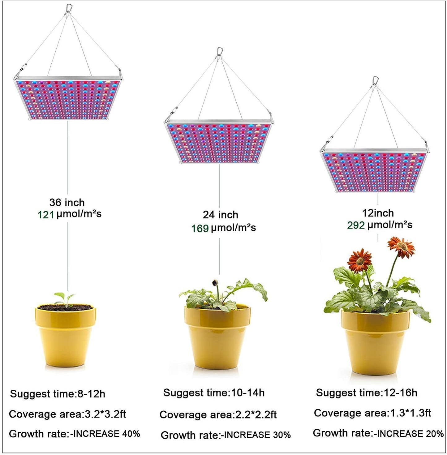 "100W LED Grow Light Full Spectrum Red Blue Yellow for Indoor Plants"
"12-Inch LED Hydroponic Grow Light for Seed Starting and Vegetables"
"Energy-Efficient Full Spectrum Grow Light for Herbs and Flowers"
"Hydroponic 100W LED Grow Light Panel for Indoor Gardening"