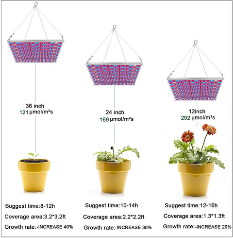 "100W LED Grow Light Full Spectrum Red Blue Yellow for Indoor Plants"
"12-Inch LED Hydroponic Grow Light for Seed Starting and Vegetables"
"Energy-Efficient Full Spectrum Grow Light for Herbs and Flowers"
"Hydroponic 100W LED Grow Light Panel for Indoor Gardening"