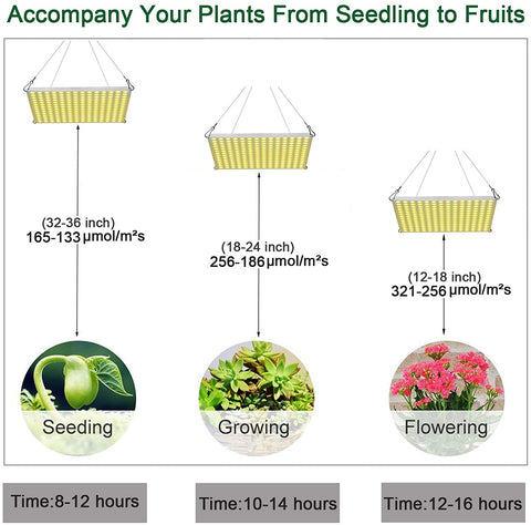 "100W LED Grow Light Full Spectrum Red Blue Yellow for Indoor Plants"
"12-Inch LED Hydroponic Grow Light for Seed Starting and Vegetables"
"Energy-Efficient Full Spectrum Grow Light for Herbs and Flowers"
"Hydroponic 100W LED Grow Light Panel for Indoor Gardening"