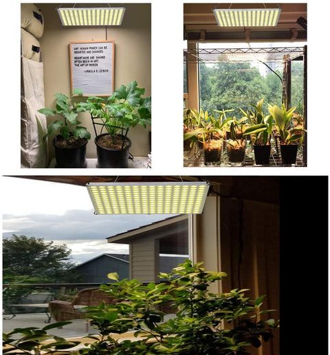 "100W LED Grow Light Full Spectrum Red Blue Yellow for Indoor Plants"
"12-Inch LED Hydroponic Grow Light for Seed Starting and Vegetables"
"Energy-Efficient Full Spectrum Grow Light for Herbs and Flowers"
"Hydroponic 100W LED Grow Light Panel for Indoor Gardening"