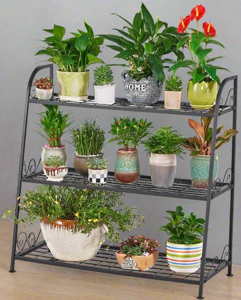 3-tier metal plant stand with potted plants in living room
Black powder-coated plant rack used indoors
Metal flower shelf displayed on outdoor patio
Sturdy decorative stand with three storage tiers
Compact garden shelf holding flowers and décor items
Close-up of black metal frame and assembly