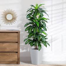 Artificial Dracaena Silk Plant – 48" Lifelike Indoor Tree for Home & Office Décor | SKU: DRA048 - with | Sold by Uncle Wiener's Wholesale