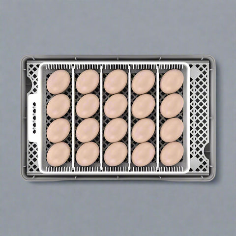 20 EGG AUTOMATIC INCUBATOR - with | Sold by Uncle Wiener's Wholesale