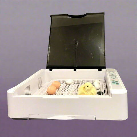 DELUXE 36 EGG INCUBATOR HATCHER CHICKEN - with | Sold by Uncle Wiener's Wholesale