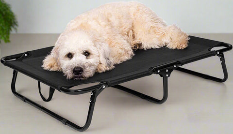 Dog resting on black elevated mesh cot
Foldable raised pet bed for outdoor travel
Side view of elevated dog cot with mesh
Cat lying on raised portable pet bed
Folded compact dog bed for easy storage