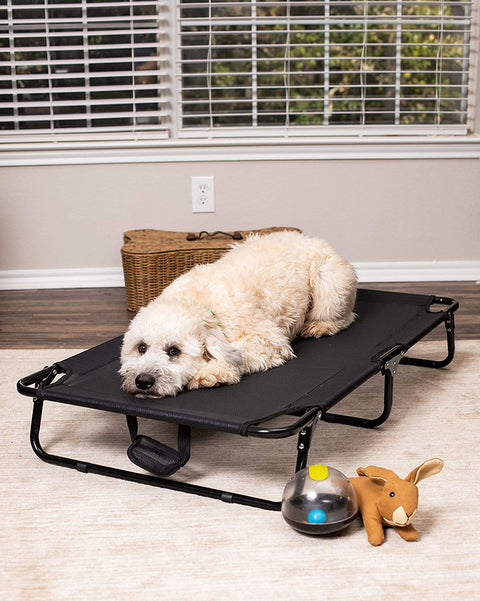 Dog resting on black elevated mesh cot
Foldable raised pet bed for outdoor travel
Side view of elevated dog cot with mesh
Cat lying on raised portable pet bed
Folded compact dog bed for easy storage