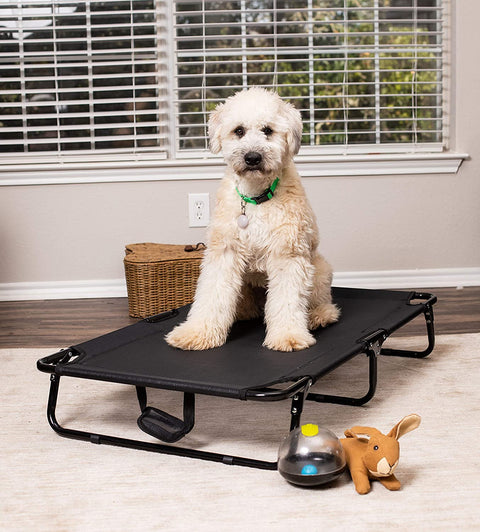 Dog resting on black elevated mesh cot
Foldable raised pet bed for outdoor travel
Side view of elevated dog cot with mesh
Cat lying on raised portable pet bed
Folded compact dog bed for easy storage