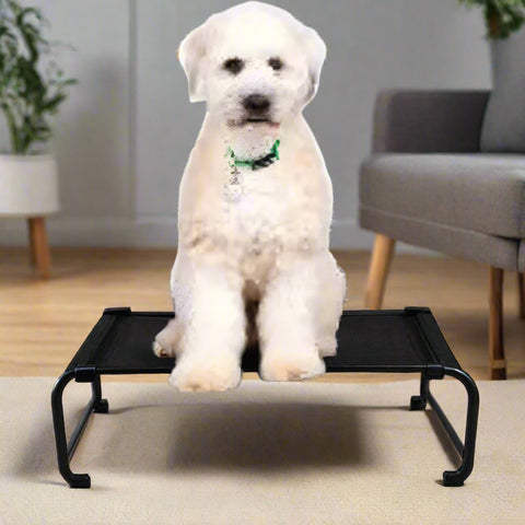 Dog resting on black elevated mesh cot
Foldable raised pet bed for outdoor travel
Side view of elevated dog cot with mesh
Cat lying on raised portable pet bed
Folded compact dog bed for easy storage