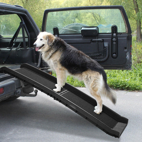 Dog using non-slip folding ramp for SUV access safely