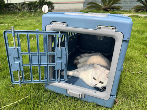 New Folding Plastic Pet Carrier – Airline - Approved Crate for Small & Large Pets - with LARGE BLUE | Sold by Uncle Wiener's Wholesale