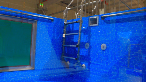 “Modern 20ft sea container pool in backyard with filtration system”
“Indoor 40ft shipping container swimming pool with viewing glass”
“Above-ground modular pool built from repurposed shipping container”