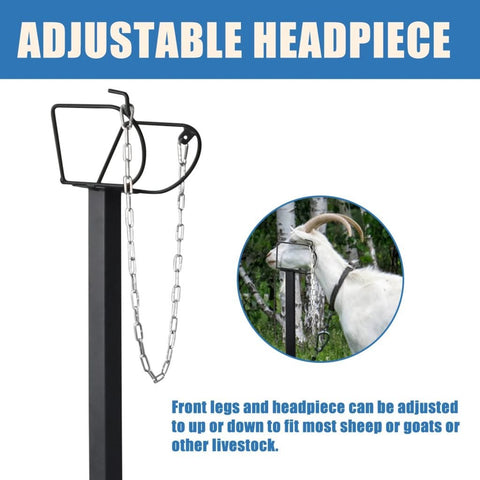 New Livestock Trimming Stand – Sheep Shearing & Goat Grooming Platform S1129 - with | Sold by Uncle Wiener's Wholesale