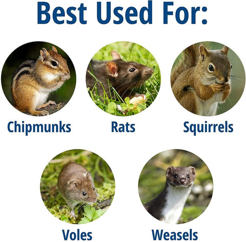 New Metal Single Door Mouse Trap – Durable Animal Trap for Effective Rodent Control 67612 - with | Sold by Uncle Wiener's Wholesale