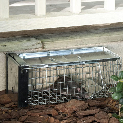 New Metal Single Door Mouse Trap – Durable Animal Trap for Effective Rodent Control 67612 - with | Sold by Uncle Wiener's Wholesale