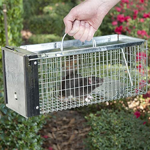 New Metal Single Door Mouse Trap – Durable Animal Trap for Effective Rodent Control 67612 - with | Sold by Uncle Wiener's Wholesale