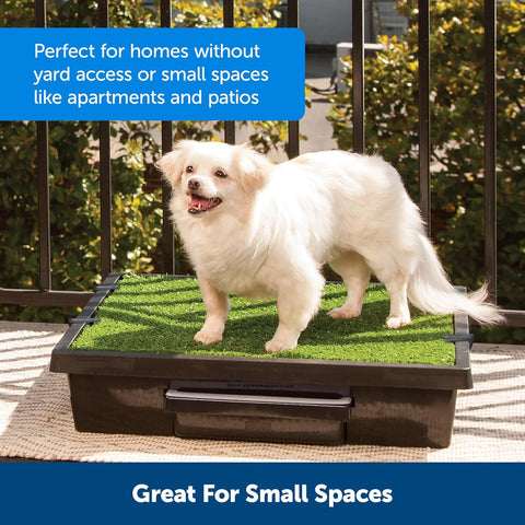 PetSafe Pet Loo Portable Indoor/Outdoor Dog Potty, Alternative to Puppy Pads, Large - with | Sold by Uncle Wiener's Wholesale