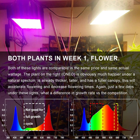 1000W Full Spectrum LED Grow Light – Hydroponic Plant Light for Herbs & Indoor Growing 88827Y - with | Sold by Uncle Wiener's Wholesale