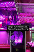 "100W LED Grow Light Full Spectrum Red Blue Yellow for Indoor Plants"

"12-Inch LED Hydroponic Grow Light for Seed Starting and Vegetables"

"Energy-Efficient Full Spectrum Grow Light for Herbs and Flowers"

"Hydroponic 100W LED Grow Light Panel for Indoor Gardening"

