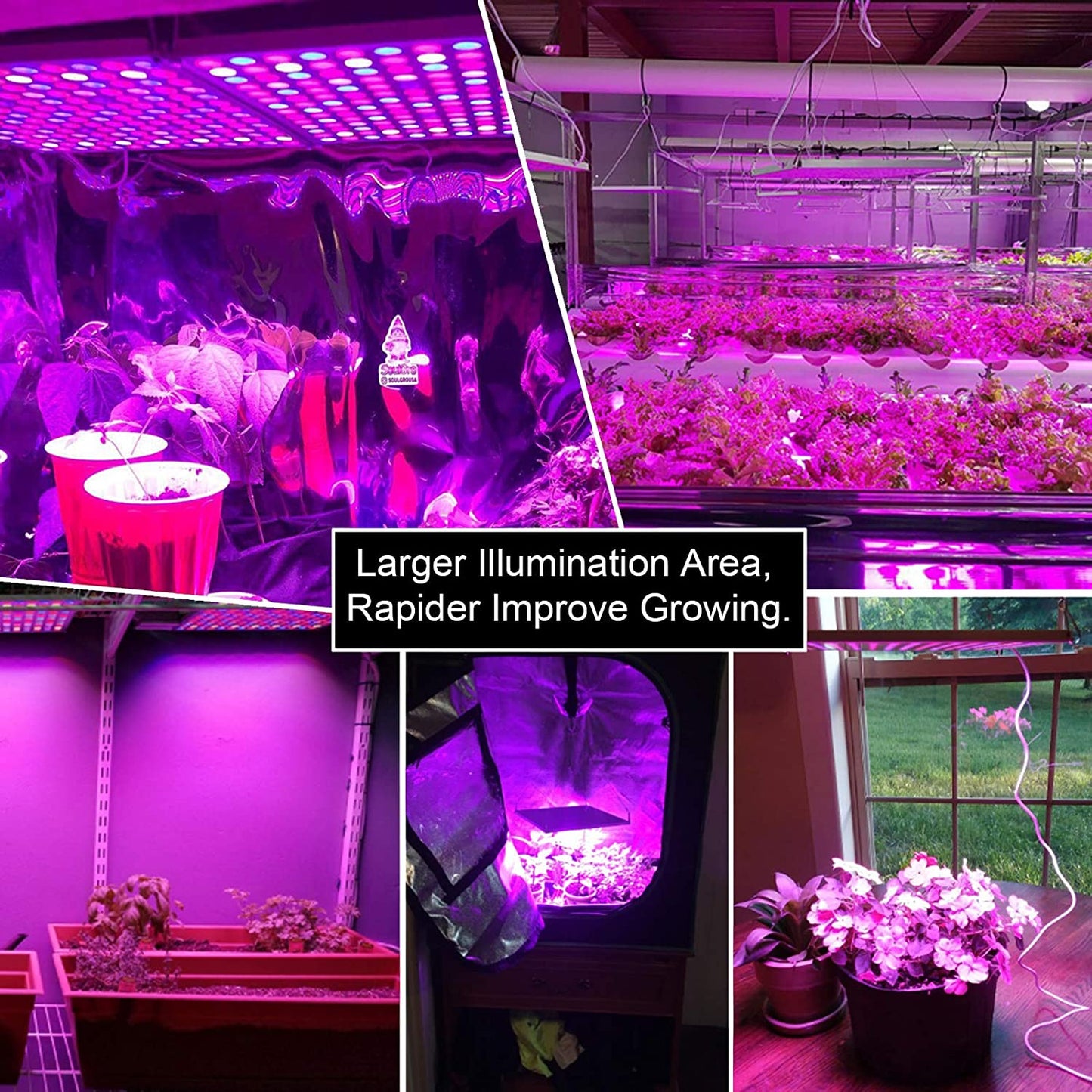 "100W LED Grow Light Full Spectrum Red Blue Yellow for Indoor Plants"

"12-Inch LED Hydroponic Grow Light for Seed Starting and Vegetables"

"Energy-Efficient Full Spectrum Grow Light for Herbs and Flowers"

"Hydroponic 100W LED Grow Light Panel for Indoor Gardening"

