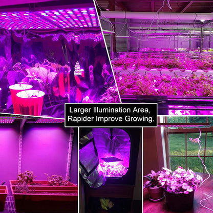 "100W LED Grow Light Full Spectrum Red Blue Yellow for Indoor Plants"

"12-Inch LED Hydroponic Grow Light for Seed Starting and Vegetables"

"Energy-Efficient Full Spectrum Grow Light for Herbs and Flowers"

"Hydroponic 100W LED Grow Light Panel for Indoor Gardening"

