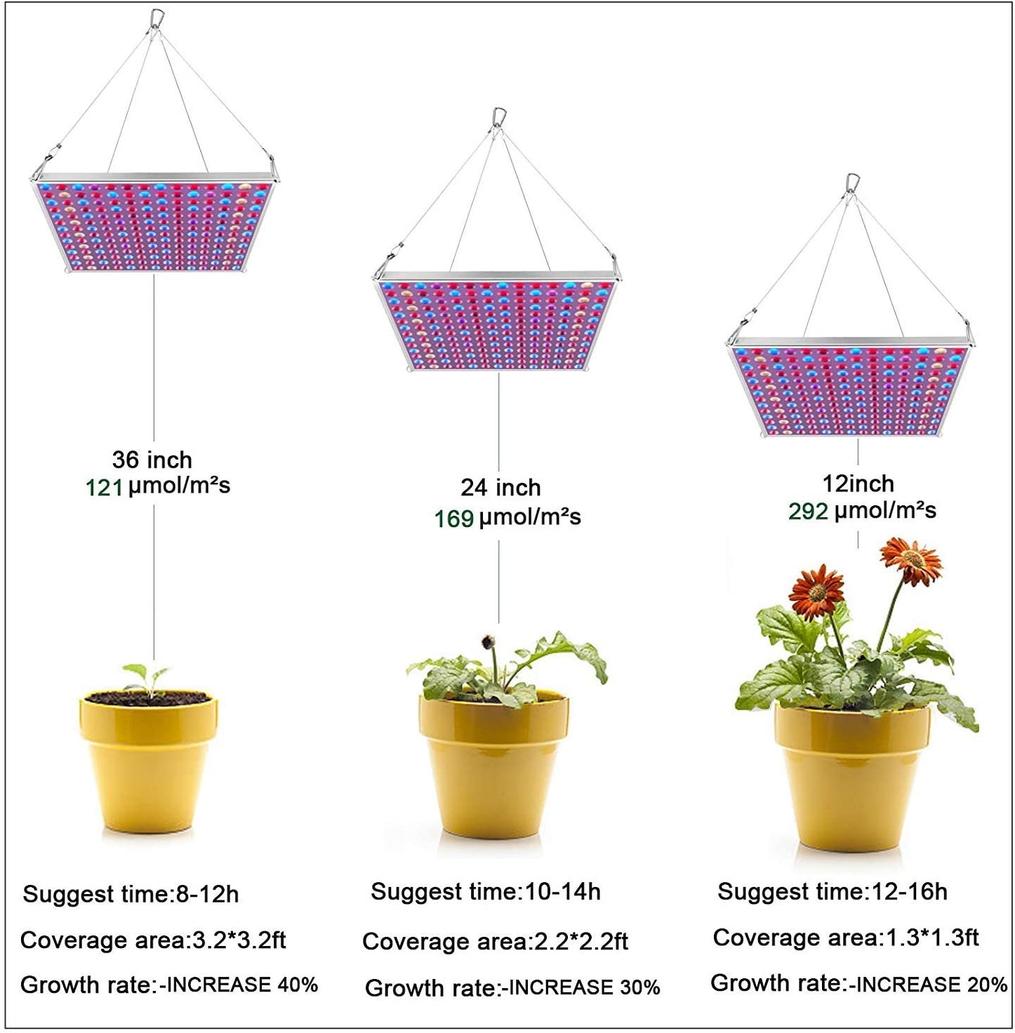 "100W LED Grow Light Full Spectrum Red Blue Yellow for Indoor Plants"

"12-Inch LED Hydroponic Grow Light for Seed Starting and Vegetables"

"Energy-Efficient Full Spectrum Grow Light for Herbs and Flowers"

"Hydroponic 100W LED Grow Light Panel for Indoor Gardening"

