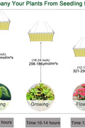 "100W LED Grow Light Full Spectrum Red Blue Yellow for Indoor Plants"

"12-Inch LED Hydroponic Grow Light for Seed Starting and Vegetables"

"Energy-Efficient Full Spectrum Grow Light for Herbs and Flowers"

"Hydroponic 100W LED Grow Light Panel for Indoor Gardening"

