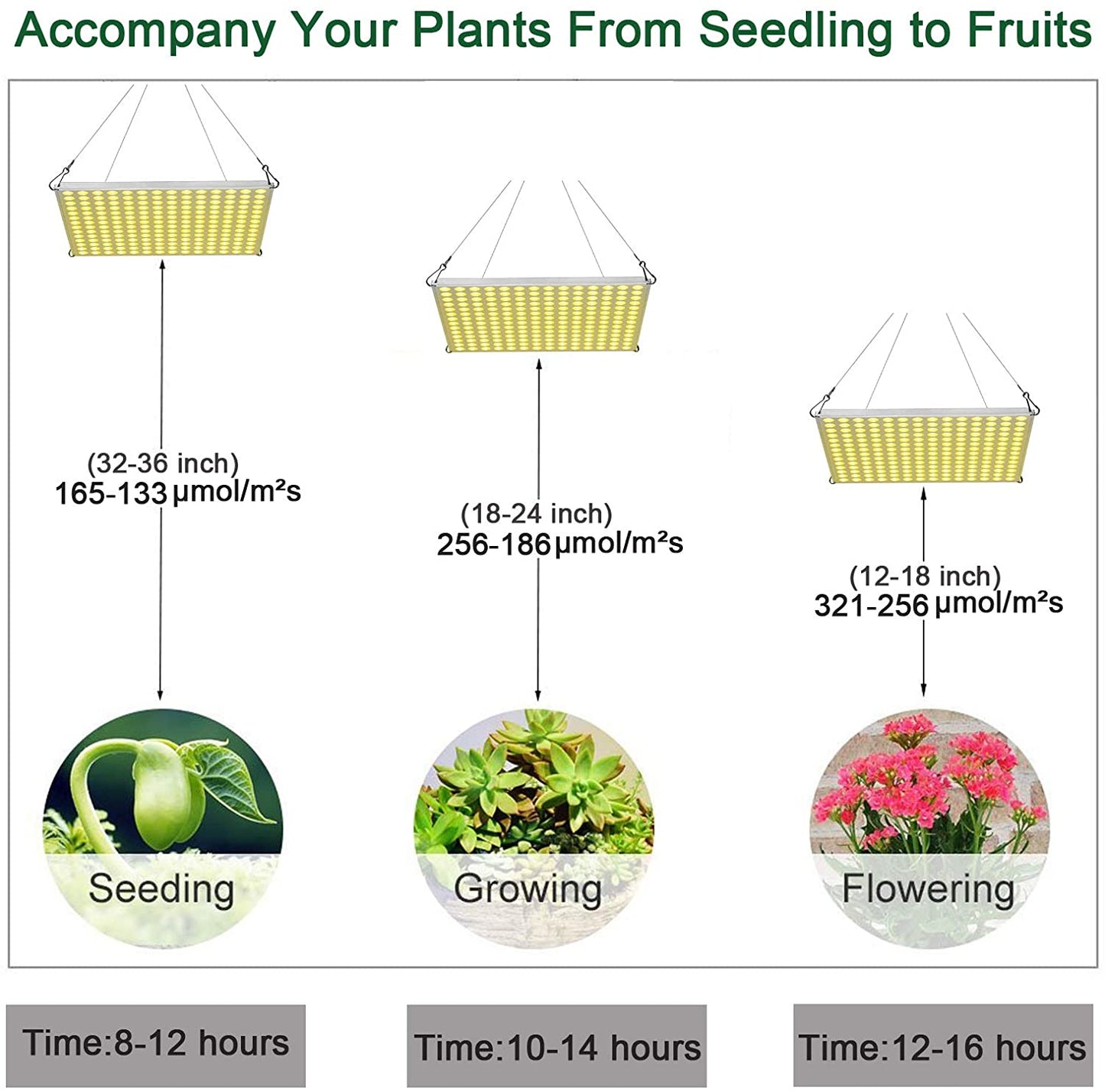 "100W LED Grow Light Full Spectrum Red Blue Yellow for Indoor Plants"

"12-Inch LED Hydroponic Grow Light for Seed Starting and Vegetables"

"Energy-Efficient Full Spectrum Grow Light for Herbs and Flowers"

"Hydroponic 100W LED Grow Light Panel for Indoor Gardening"

