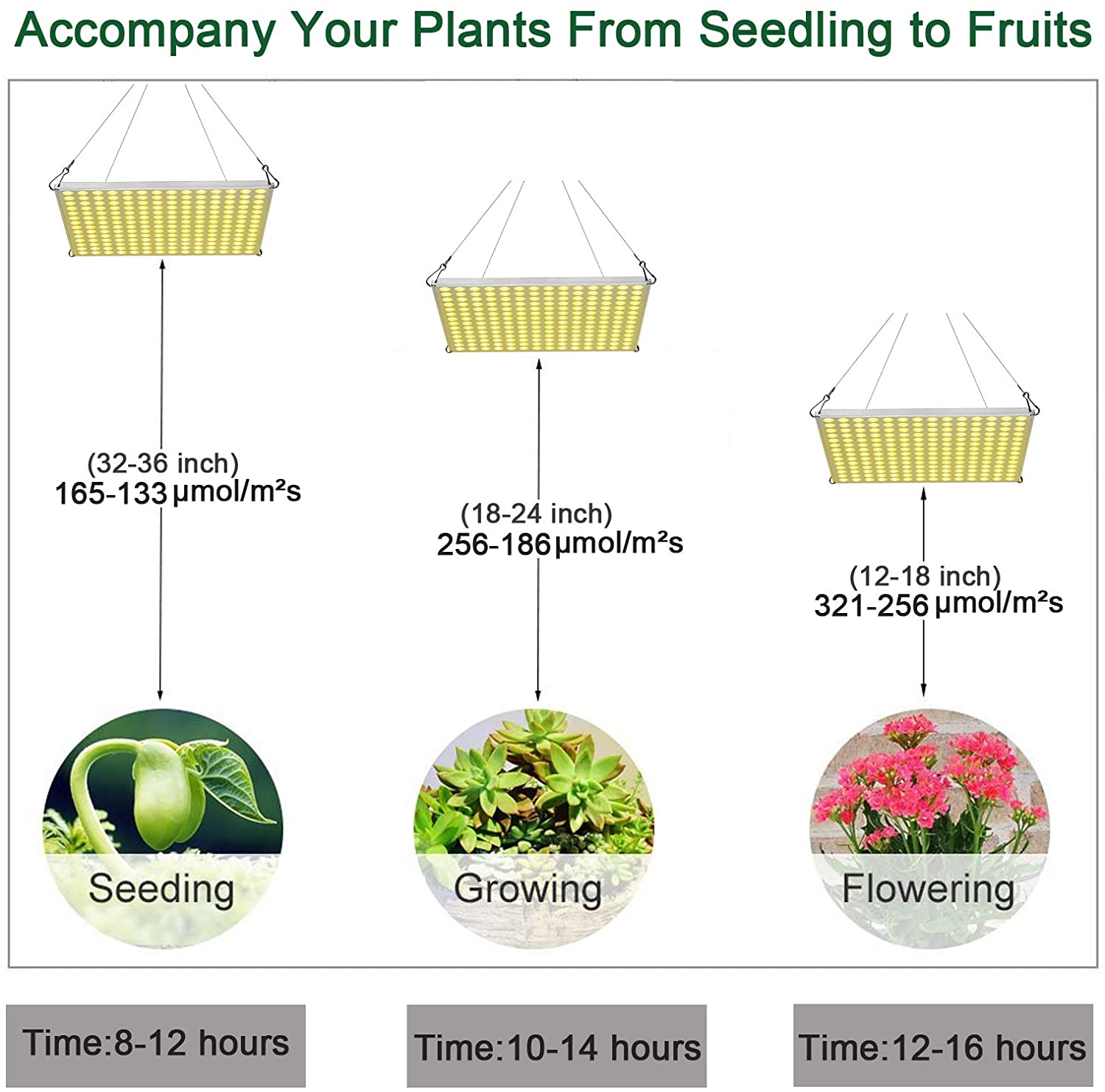 "100W LED Grow Light Full Spectrum Red Blue Yellow for Indoor Plants"

"12-Inch LED Hydroponic Grow Light for Seed Starting and Vegetables"

"Energy-Efficient Full Spectrum Grow Light for Herbs and Flowers"

"Hydroponic 100W LED Grow Light Panel for Indoor Gardening"

