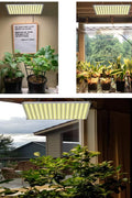 "100W LED Grow Light Full Spectrum Red Blue Yellow for Indoor Plants"

"12-Inch LED Hydroponic Grow Light for Seed Starting and Vegetables"

"Energy-Efficient Full Spectrum Grow Light for Herbs and Flowers"

"Hydroponic 100W LED Grow Light Panel for Indoor Gardening"

