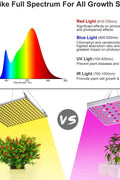 "100W LED Grow Light Full Spectrum Red Blue Yellow for Indoor Plants"

"12-Inch LED Hydroponic Grow Light for Seed Starting and Vegetables"

"Energy-Efficient Full Spectrum Grow Light for Herbs and Flowers"

"Hydroponic 100W LED Grow Light Panel for Indoor Gardening"

