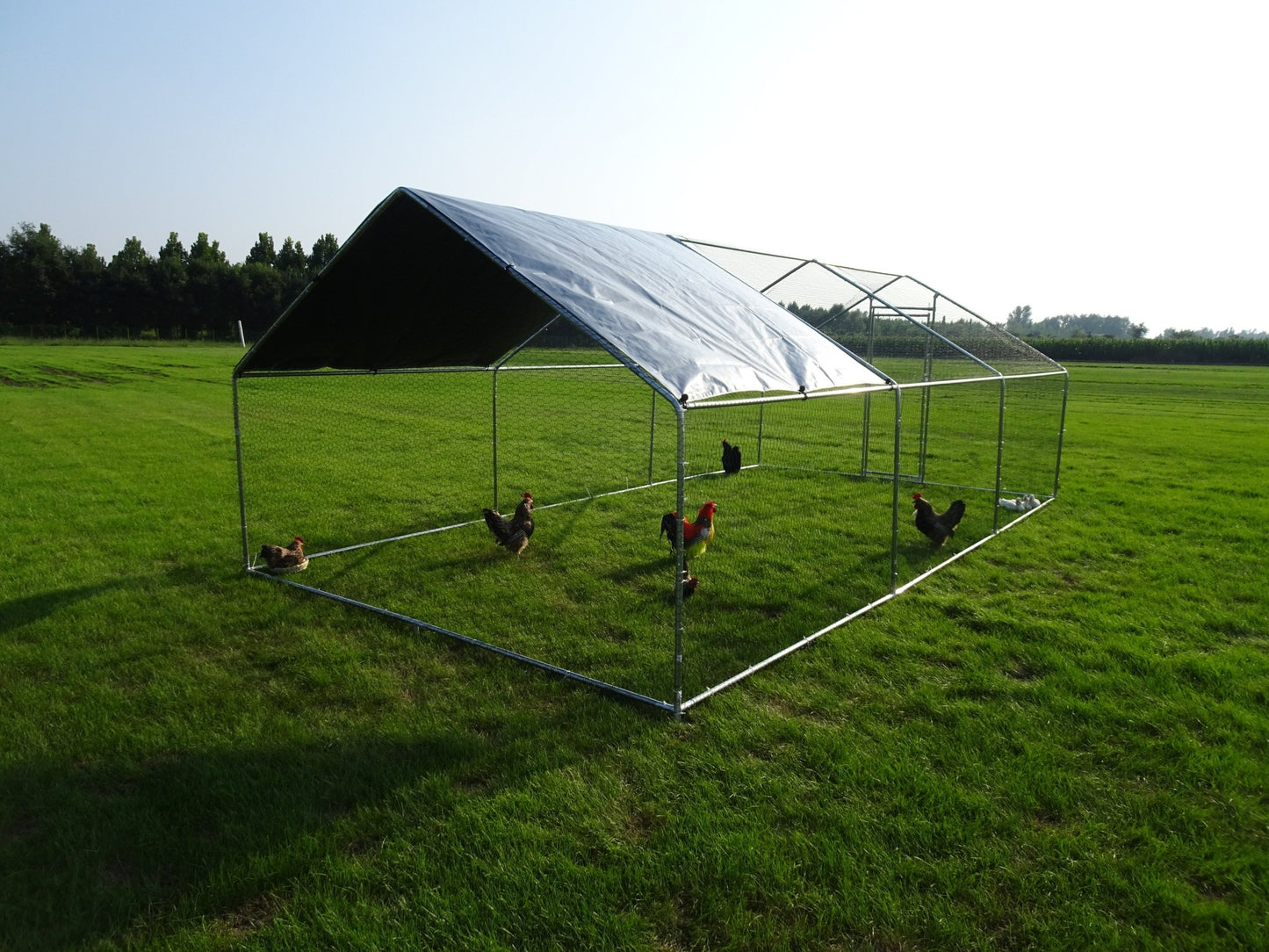 10x20 FT Dog Kennel & Chicken Run – Fenced Compound Cage with Durable Metal Frame 2010CG - Animal Enclosures with | Sold by Uncle Wiener's Wholesale