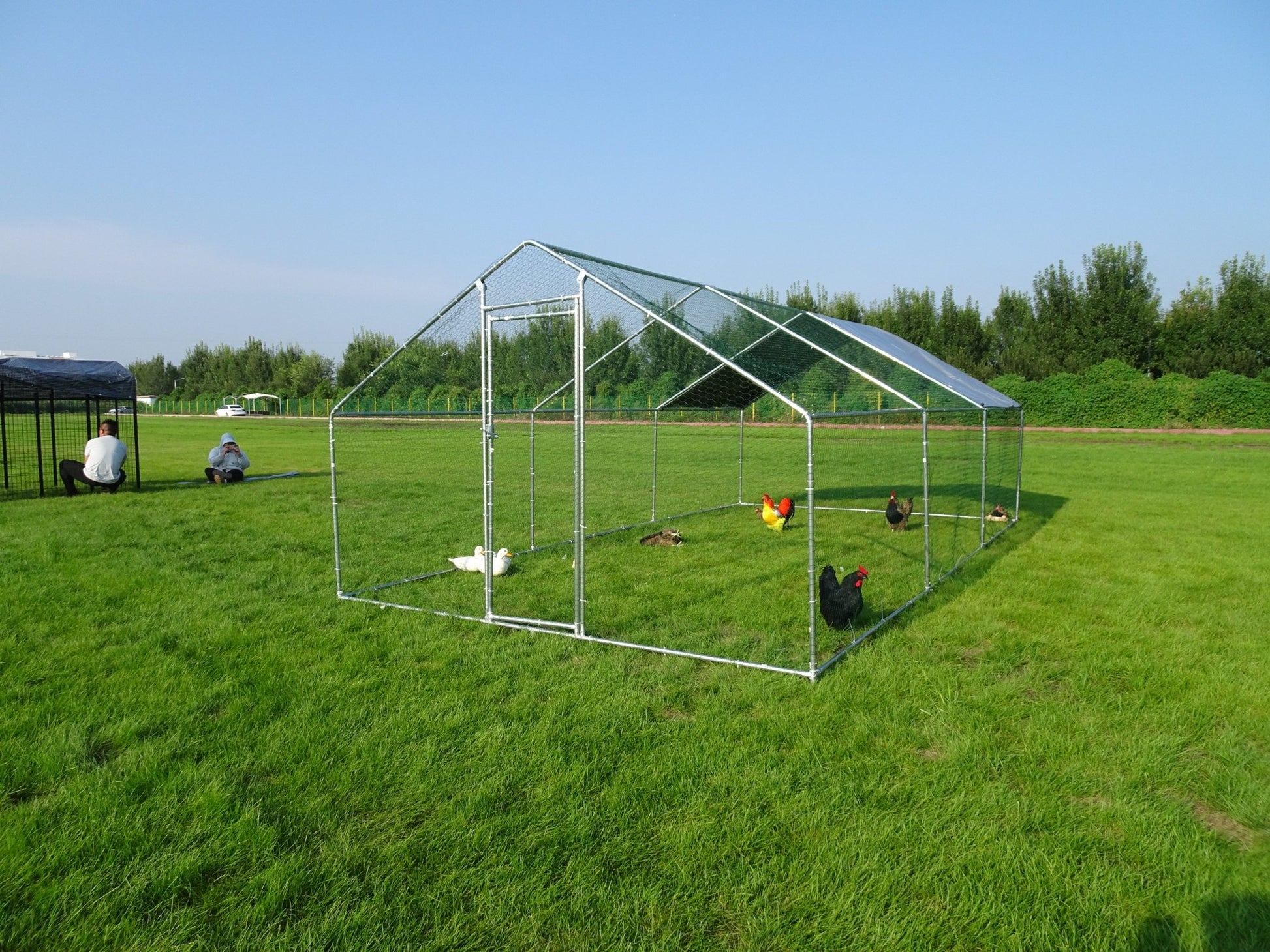 10x20 FT Dog Kennel & Chicken Run – Fenced Compound Cage with Durable Metal Frame 2010CG - Animal Enclosures with | Sold by Uncle Wiener's Wholesale