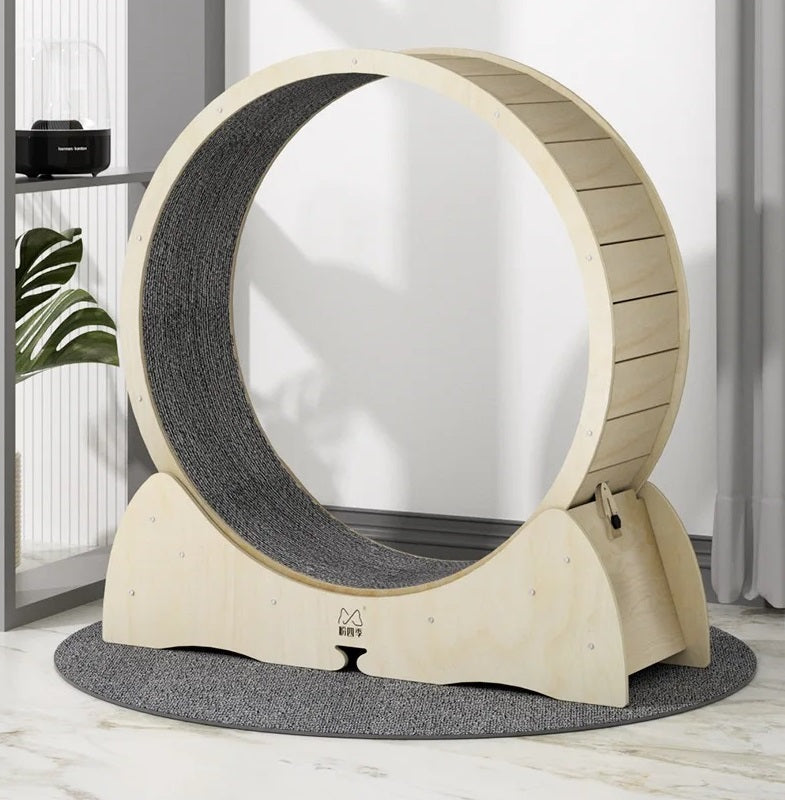 Large wooden cat exercise wheel with a carpeted running surface
Cat running on treadmill wheel in modern home
Side view of XL cat treadmill showing safe base design
Close-up of smooth solid wood wheel and track
Happy cat playing inside wooden running wheel