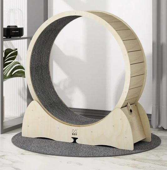 Large wooden cat exercise wheel with a carpeted running surface
Cat running on treadmill wheel in modern home
Side view of XL cat treadmill showing safe base design
Close-up of smooth solid wood wheel and track
Happy cat playing inside wooden running wheel
