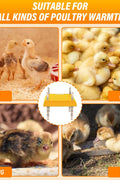 12"x12" Chick Brooder Heater Plate – Adjustable Height Poultry Heat Plate for Chicks &amp; Ducklings SCCH22307 - with | Sold by Uncle Wiener's Wholesale