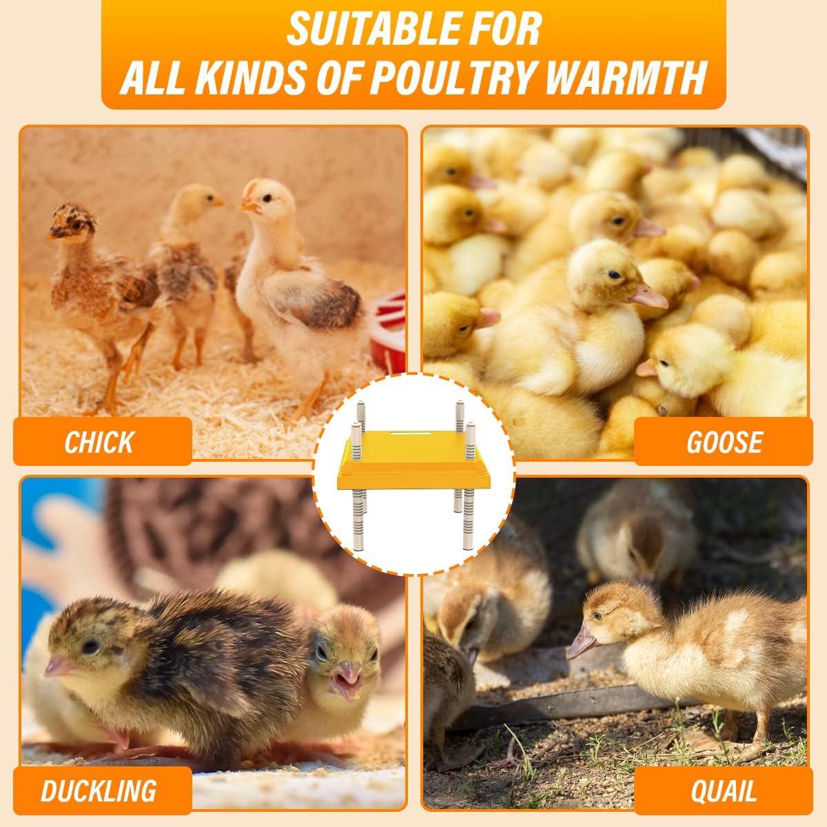 12"x12" Chick Brooder Heater Plate – Adjustable Height Poultry Heat Plate for Chicks &amp; Ducklings SCCH22307 - with | Sold by Uncle Wiener's Wholesale