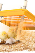 12"x12" Chick Brooder Heater Plate – Adjustable Height Poultry Heat Plate for Chicks &amp; Ducklings SCCH22307 - with | Sold by Uncle Wiener's Wholesale