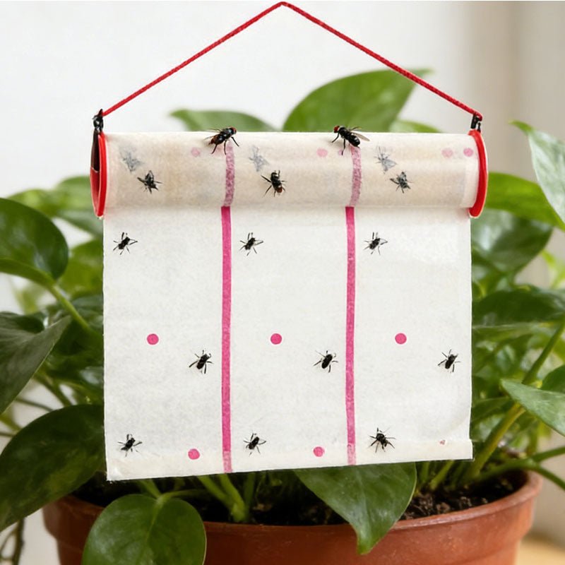 25″ x 196″ Flying Insect Sticky Trap Roll 25×500CM Heavy - Duty FIT255 - with | Sold by Uncle Wiener's Wholesale