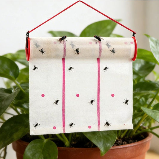 25″ x 196″ Flying Insect Sticky Trap Roll 25×500CM Heavy - Duty FIT255 - with | Sold by Uncle Wiener's Wholesale