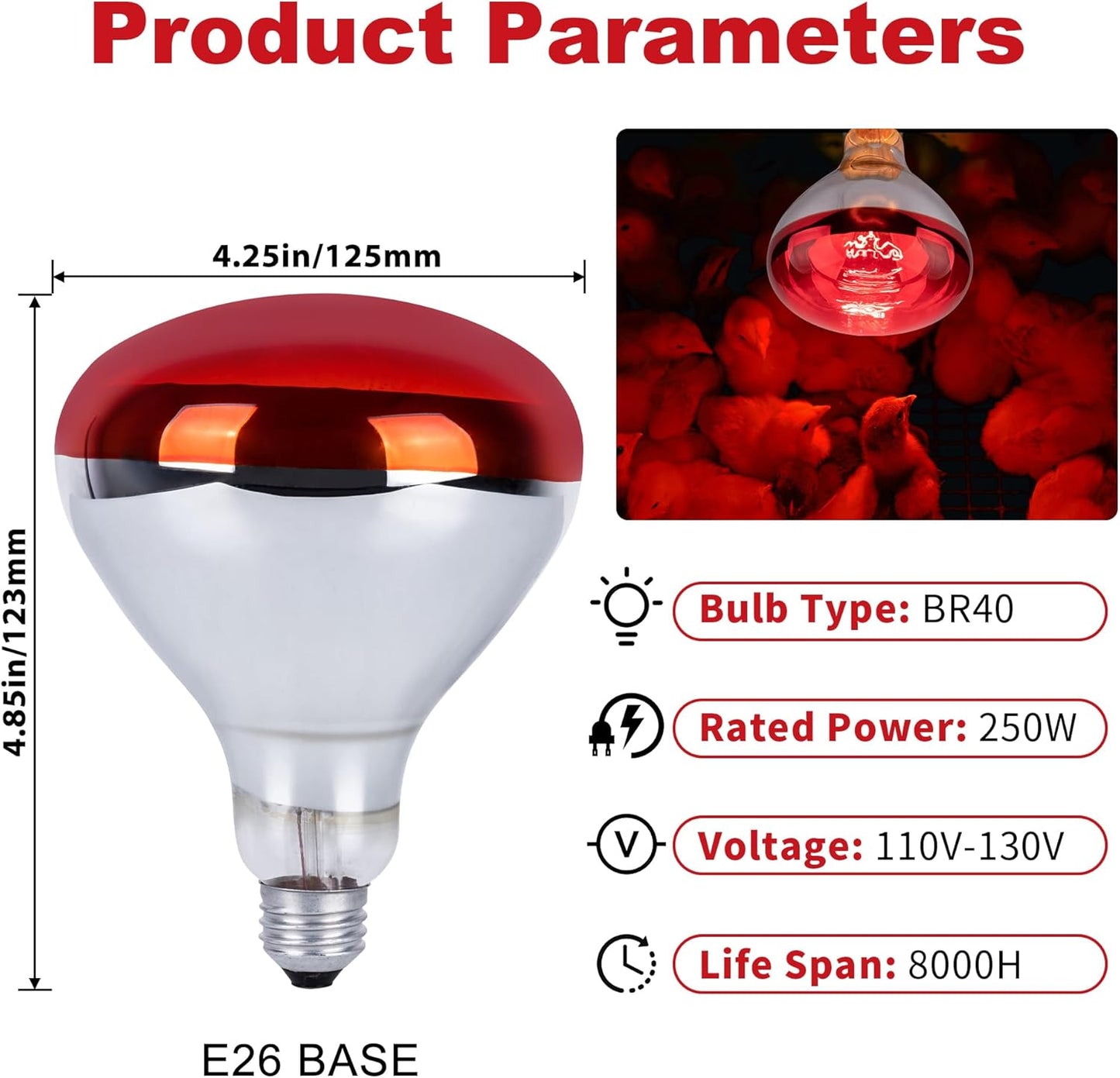 250W Red Heat Bulbs 2 Pack Infrared Chicken Coop Brooder Lamp E26 RHB250 - with | Sold by Uncle Wiener's Wholesale