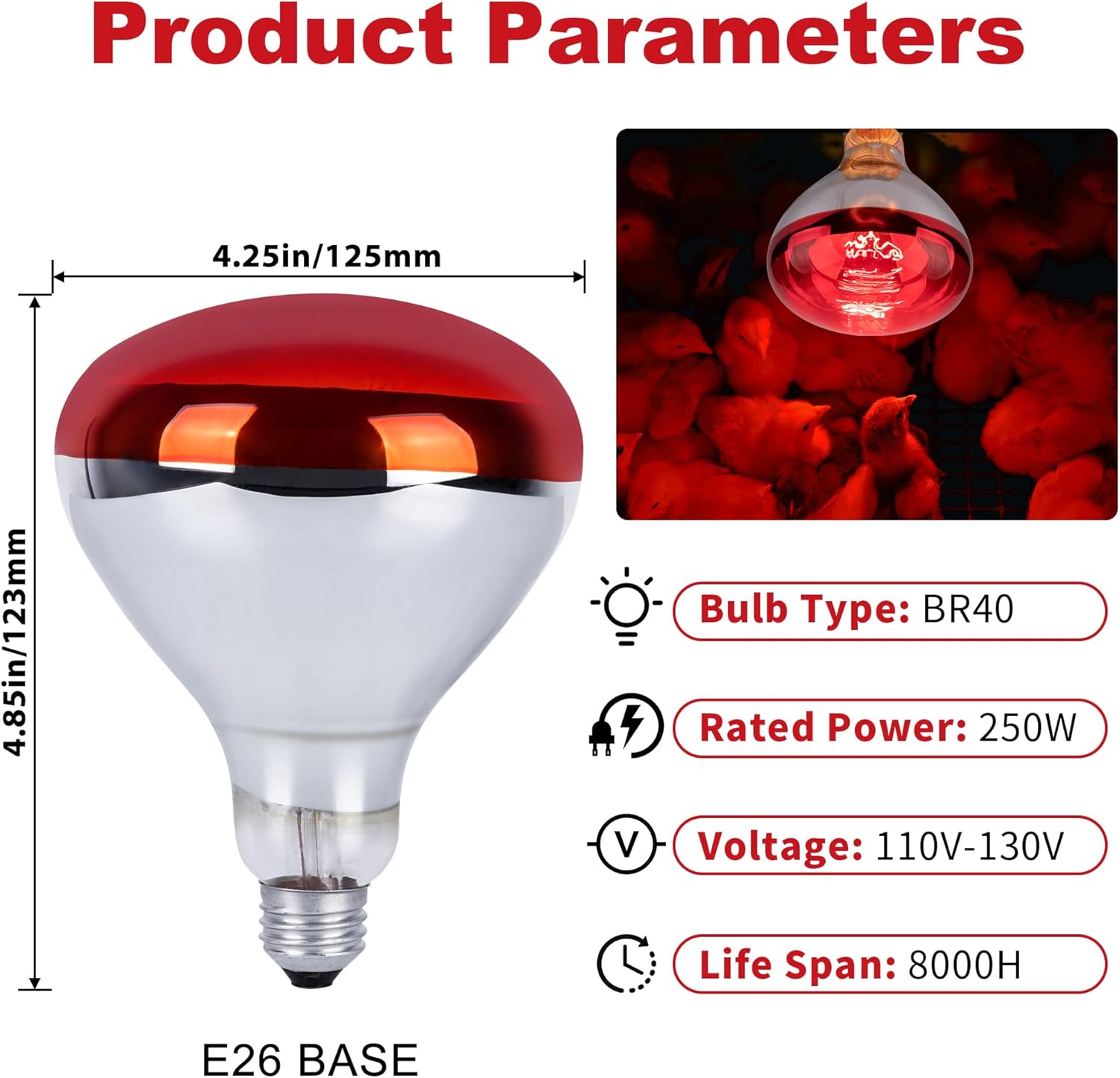 250W Red Heat Bulbs 2 Pack Infrared Chicken Coop Brooder Lamp E26 RHB250 - with | Sold by Uncle Wiener's Wholesale