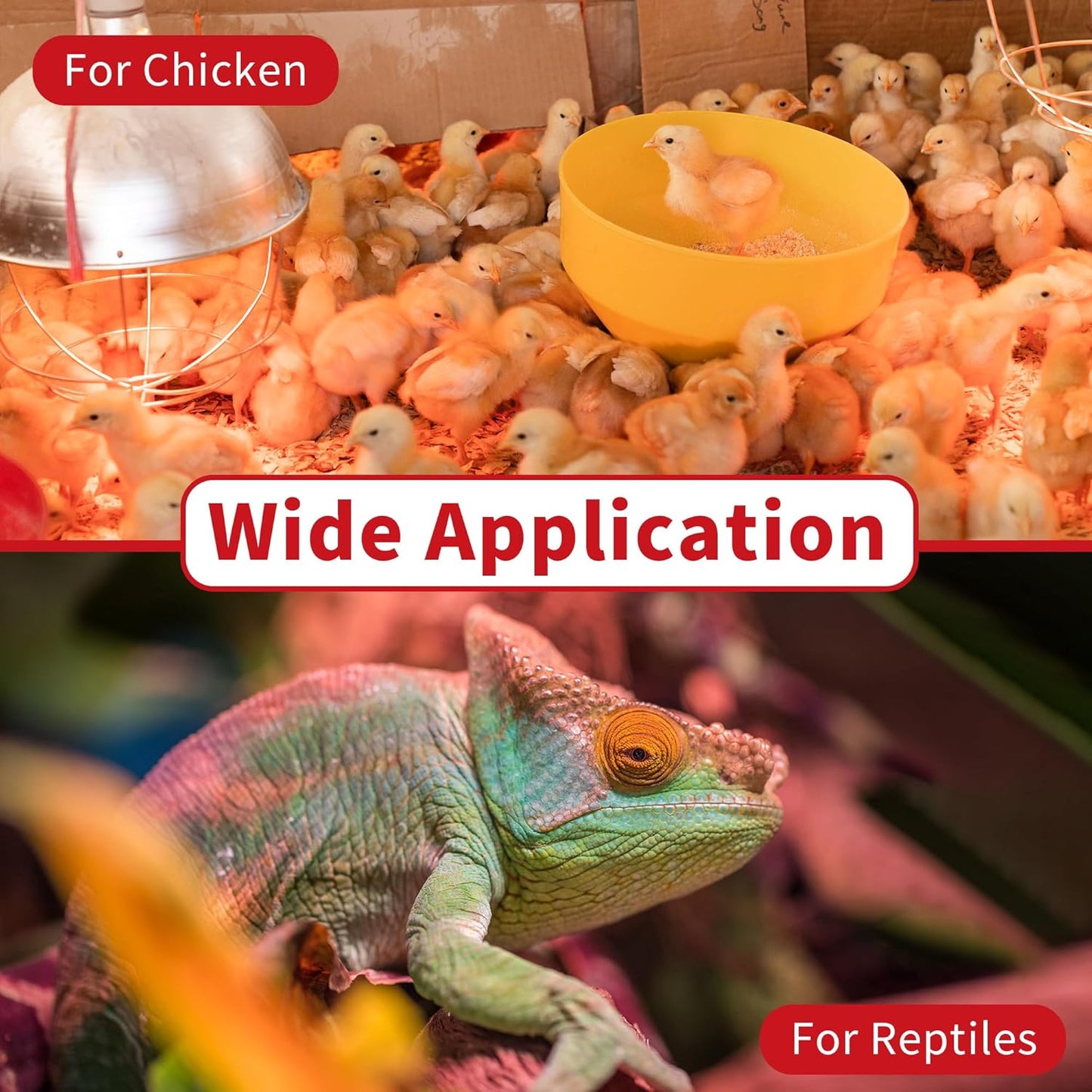 250W Red Heat Bulbs 2 Pack Infrared Chicken Coop Brooder Lamp E26 RHB250 - with | Sold by Uncle Wiener's Wholesale
