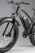 Matte black electric fat tire mountain bike side profile

Rider using e-bike on snowy terrain

Close-up of 350W rear hub motor

Heavy-duty disc brakes on fat tire

Fat tire grip on sand and off-road trails