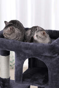 2-Level Plush Cat Tree with Top Perch and Condo
Cat Tree with Scratching Posts and Soft Fabric
Side View of Plush Gray Cat Condo Tower
Cat Sitting on Widened Top Perch
Enclosed Cat Hideout with Dual Levels
