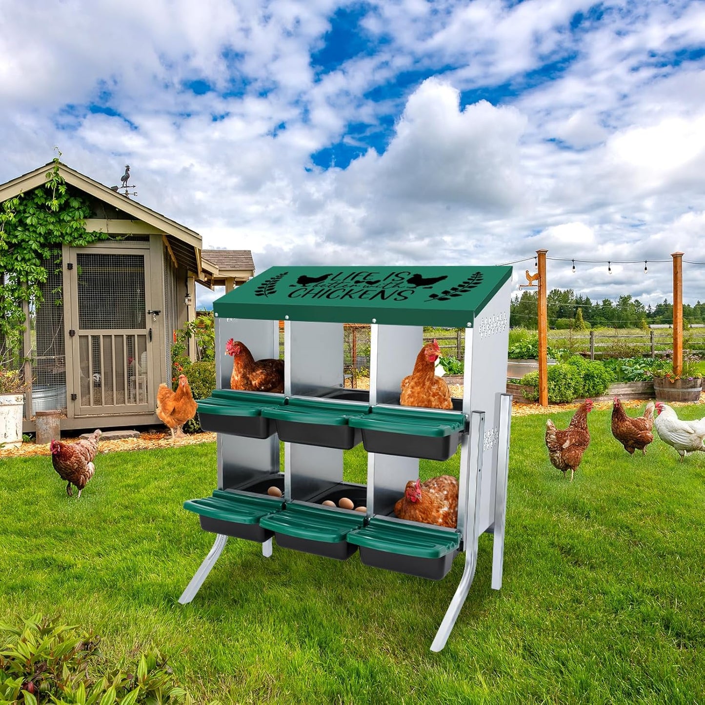 3 Compartment Chicken Nesting Boxes – Roll Away Egg Laying Box for Hens 768421000000 - with | Sold by Uncle Wiener's Wholesale