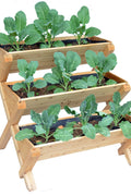 3 - Tier Wooden Raised Garden Planter Box – Cascading Vertical Bed for Herbs, Flowers & Vegetables | SKU: RGT210 - with | Sold by Uncle Wiener's Wholesale