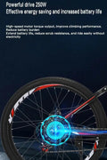 350W Motor Electric Mountain Bike Highlight
