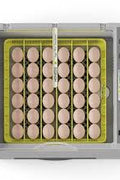 36 - Egg Automatic Digital Incubator & Hatcher – Precise Temp & Humidity Control for Poultry Eggs | SKU: 825EW36 - with | Sold by Uncle Wiener's Wholesale