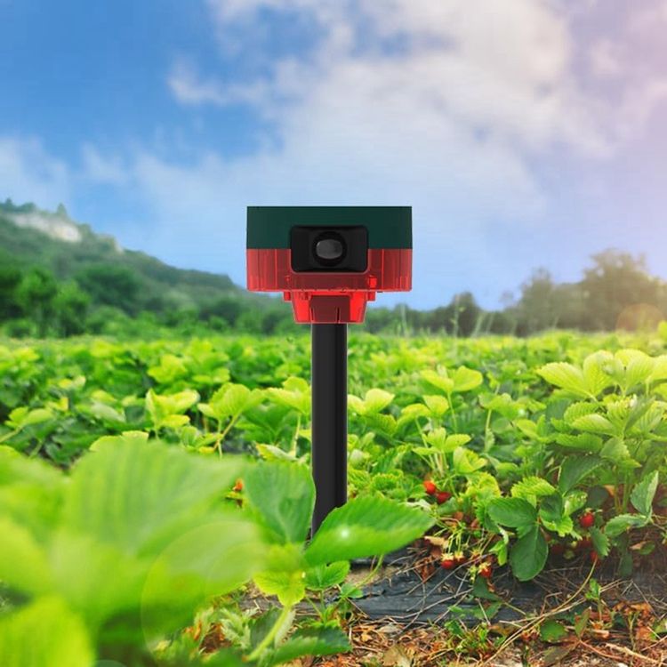 360 Degree Solar Motion Alarm 110dB Dog Barking Gunshot Siren Strobe Light MFRE911S - with | Sold by Uncle Wiener's Wholesale