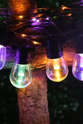 48 FT 15 Solar RGB Bulb String Light – Wedding & Outdoor Décor 910650 - with | Sold by Uncle Wiener's Wholesale